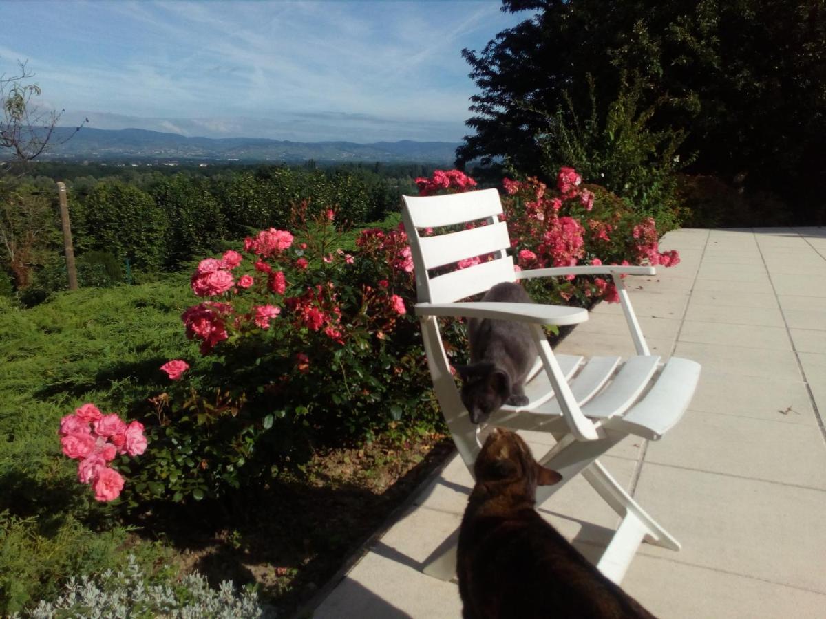 B&B Chez Frederique Et Norbert Mogneneins Zewnętrze zdjęcie